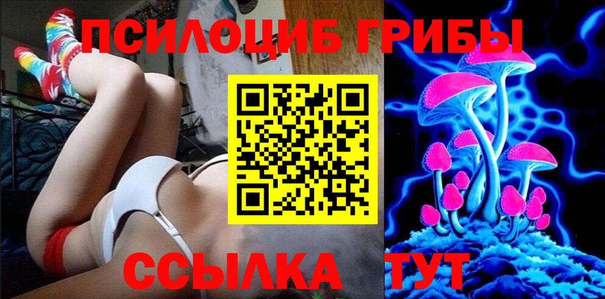 Элиста  купить  сайты  Вход с VPN  Галлюциногенные грибы Cubensis  Галлюциногенные грибы ЛСД 